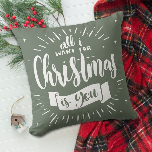 フェスティバルホームデコールクリスマスに欲しいのは君 クッション