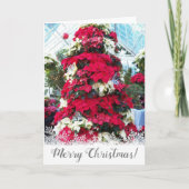 フェスティバルポインセチアのクリスマスツリー シーズンカード (正面)