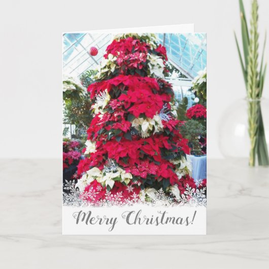 フェスティバルポインセチアのクリスマスツリー シーズンカード (正面)