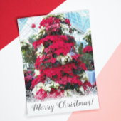フェスティバルポインセチアのクリスマスツリー シーズンカード