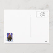 フェスティバルマストドン シーズンポストカード (裏面)