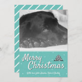 フェスティバルメリークリスマススノーフレークペットドッグフォト シーズンカード (正面/裏面)
