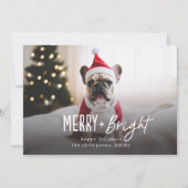 フェスティバルメリーブライトモダンドッグ写真クリスマス シーズンカード (正面)