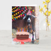 フェスティバルヤギ及びお誕生日ケーキ カード (黄色い花)
