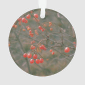 フェスティバルレッドきらめくベリー自然写真 オーナメント (裏面)