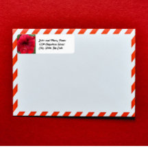 フェスティバルレッドアマリリスフローラ差出人住所