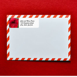 フェスティバルレッドアマリリスフローラ差出人住所 ラベル