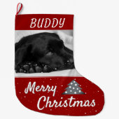 フェスティバルレッドドッグのペットの名前と写真 ラージクリスマスストッキング (正面)