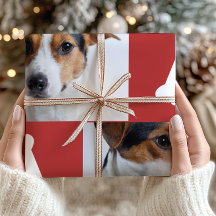 フェスティバルレッドドッグボーンズ写真コラージクリスマス