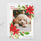 フェスティバルレッドフローラドッグフォトクリスマスポインセチア シーズンカード (正面)