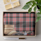 フェスティバルレッドプレイドベルギーマリノイスドッグクリスマス 薄葉紙 (ギフト)