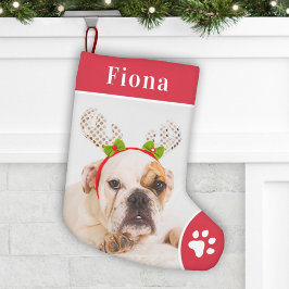 フェスティバルレッドペットポープリントモノグラムフォト スモールクリスマスストッキング