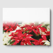 フェスティバルレッドホワイトフローラポインセチア ゲストブック (裏面)