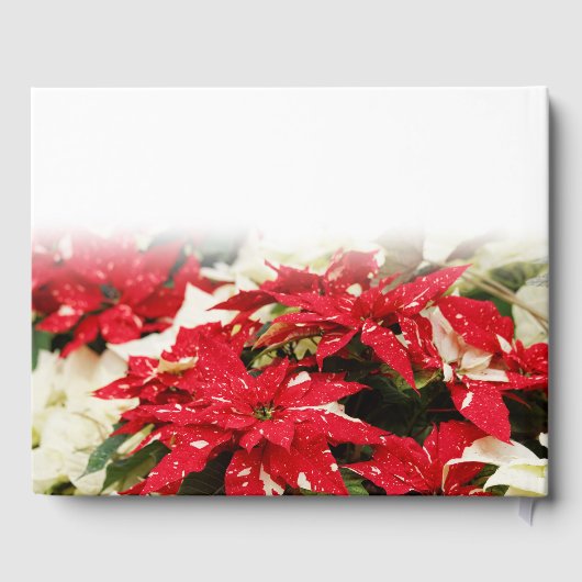 フェスティバルレッドホワイトフローラポインセチア ゲストブック (裏面)