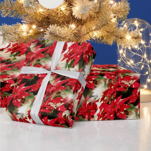 フェスティバルレッドホワイトフローラポインセチア ラッピングペーパー (クリスマス)