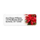 フェスティバルレッドホワイトフローラポインセチア ラベル (正面)