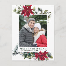 フェスティバルレッドポインセティアクリスマスグリーティングホリデー