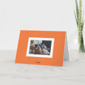 フェスティバル不気味カボチャハッピーハローウィン写真 シーズンカード (裏面)