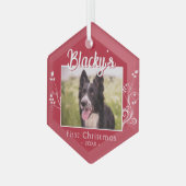 フェスティバル初めてのクリスマス子犬の葉赤い写真 ガラスオーナメント (正面左)