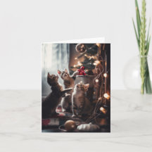 フェスティバル子猫