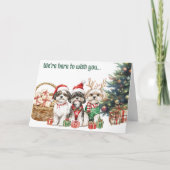 フェスティバル水色シーズー（犬）Tzuドッグスクリスマスカード シーズンカード (正面)