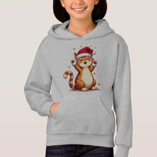 フェスティバル猫クリスマスキャットおもしろい (正面)