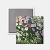 フェスティバル花園 マグネット (正面/裏面)