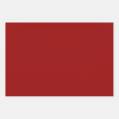 フェスティバル菌 ラッピングペーパーシート (正面2)