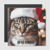 フェスティバル虎猫 (正面/裏面)