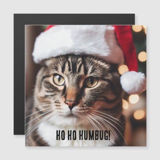 フェスティバル虎猫 (正面/裏面)