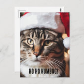 フェスティバル虎猫 ポストカード (正面/裏面)