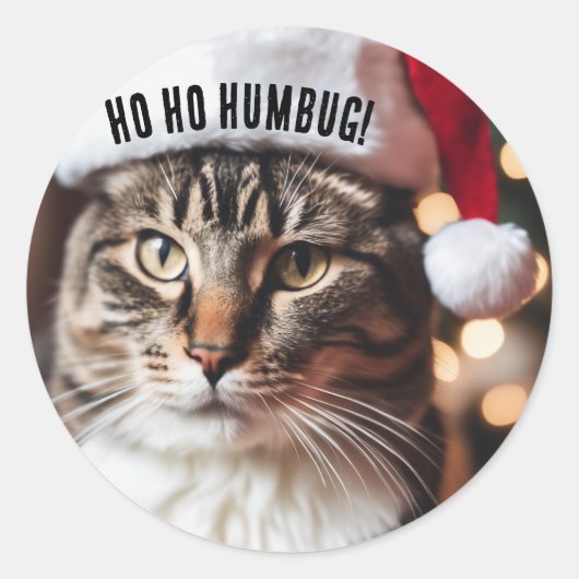 フェスティバル虎猫 ラウンドシール (正面)