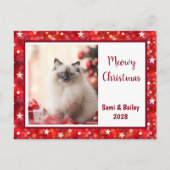 フェスティバル赤と白ホリデー写真はがき シーズンポストカード (正面)