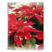 フェスティバル赤白フローラポインセチア花 ノートブック (正面)