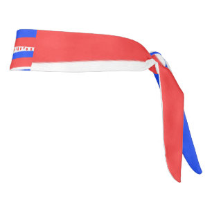 フェスティバル赤白青円ストライプ数 タイヘッドバンド