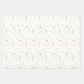 フェスティバル2025卒業 ラッピングペーパーシート (正面3)