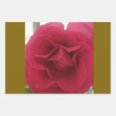 フェスティバル&ラッカラフルプ紙シート ラッピングペーパーシート (正面2)