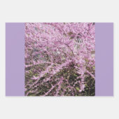 フェスティバル&ラッカラフルプ紙シート ラッピングペーパーシート (正面)