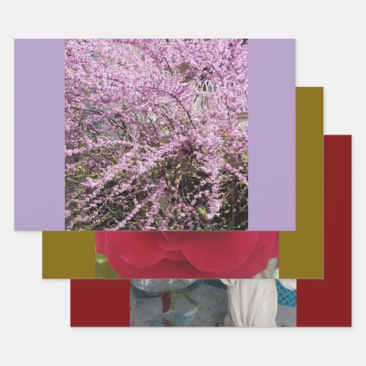 フェスティバル&ラッカラフルプ紙シート ラッピングペーパーシート (セット)