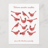 フェスティバル(鳥)ショウジョウコウカンチョウバードウォーター色ホリデーポストカード シーズンポストカード (正面)