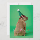 フェスティバルAFおもしろいペットフォトホリデーカード 招待状 (正面)