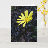 フェスティバルNotecards (中ブランク)の花 カード (黄色い花)