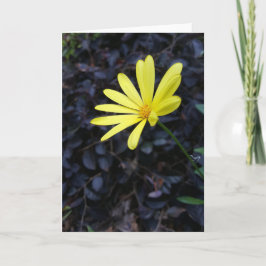 フェスティバルNotecards (中ブランク)の花 カード