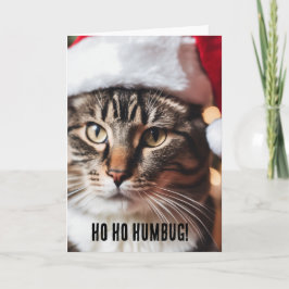 フェスティブ タビー カード