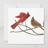 フェスティブ レッド カーディナル クリスマス パーティー 招待状 (裏面)