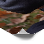 フェッチ。昼寝。繰り返す。100ミッション用。 ポスター (角)