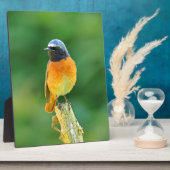 フェニクルス フォトプラーク (側面)