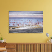 フェニコペルス・フラミンゴ キャンバスプリント (インサイチュ (リビング))