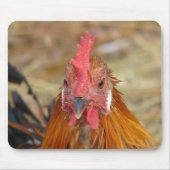 フェニックスがカメラを停止 マウスパッド (正面)