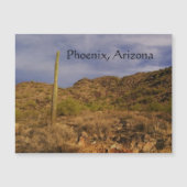 フェニックスの嵐の日 (正面)